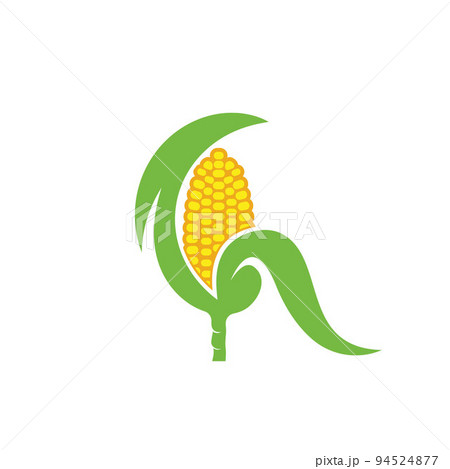 fresh corn vector element illustration design...のイラスト素材 [94524877] - PIXTA