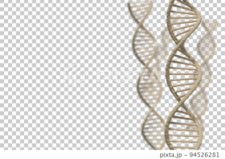Image of double helix of DNA Image of double helix of DNA 94526281