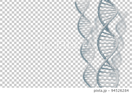 Image of double helix of DNA 94526284