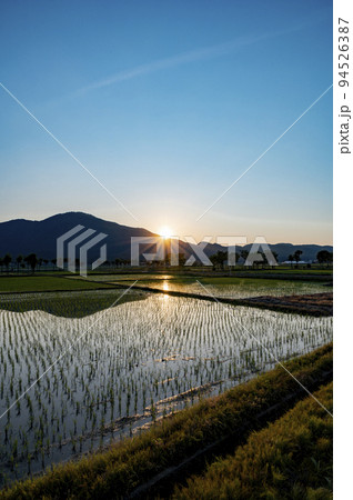 新潟の夕景 94526387