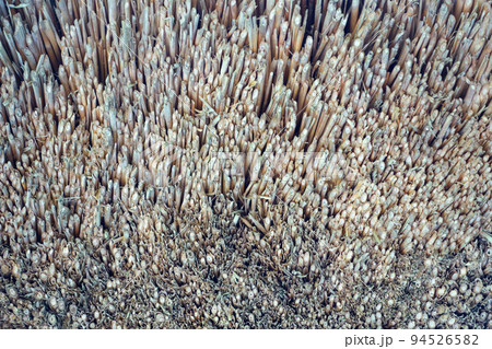 茅葺き屋根を下から撮影した画像 94526582