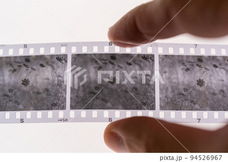 現像済みモノクロフィルム 現像済みモノクロフィルム 94526967