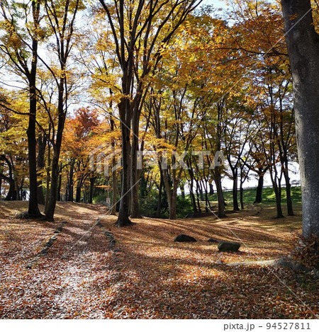 公園　秋 94527811