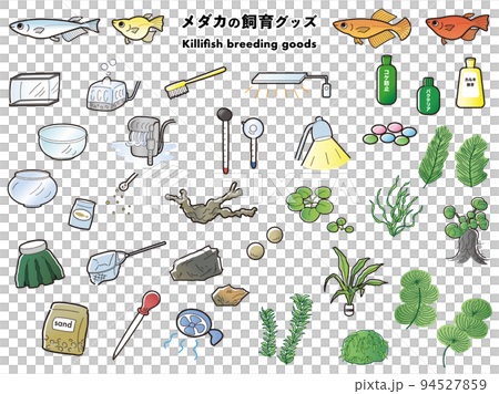 青鱂和養殖商品的插圖集 青鱂和養殖商品的插圖集 94527859