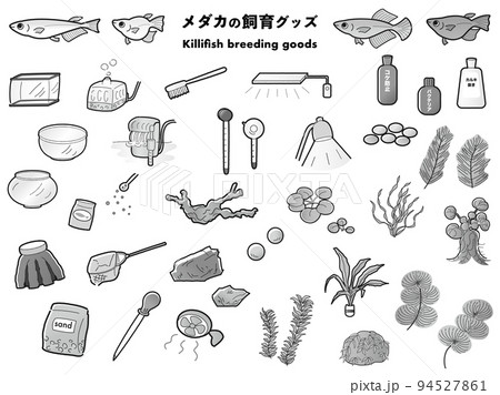 メダカと飼育グッズのイラストセット（白黒） 94527861