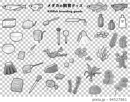 青鱂和養殖用品插圖集(黑白) 青鱂和養殖用品插圖集(黑白) 94527861