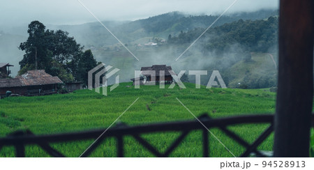 View of the rice fields from the hut View of the rice fields from the hut 94528913