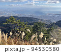 すすきと六甲の景色 94530580