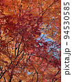 紅葉の写真 94530585