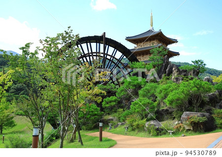 スポット 自然 緑 94530789