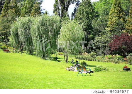 屋外 噴水 景色 94534677