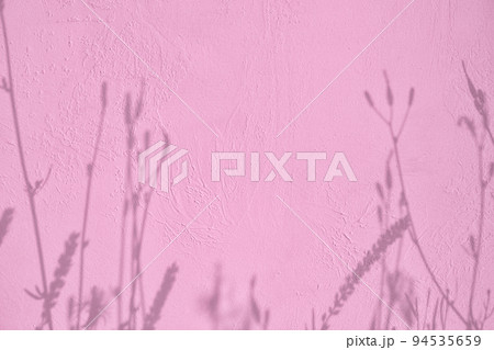 Shadow of flowers on pink concrete wall texture background 94535659