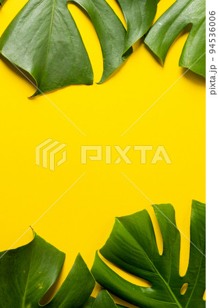 Animation of green lush leaves over yellow background with copy space Animation of green lush leaves over yellow background with copy space 94536006