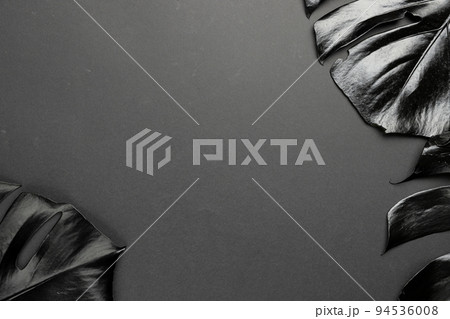 Composition of black lush leaves with copy space on gray background Composition of black lush leaves with copy space on gray background 94536008