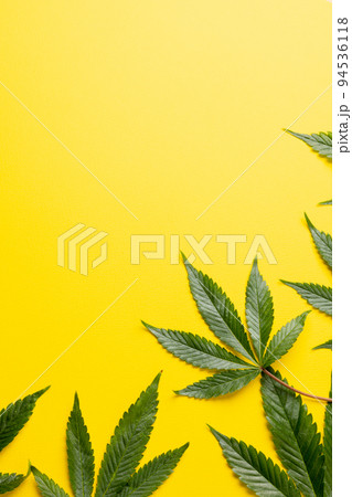 Vertical image of marihuana leaves lying on yellow background 94536118