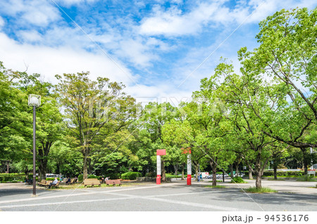 代々木公園　緑が爽やかなイベント広場　東京都渋谷区 94536176