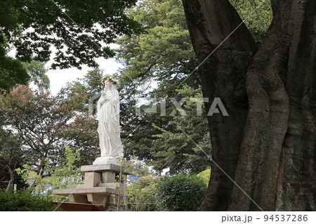 花 景色 屋外 94537286