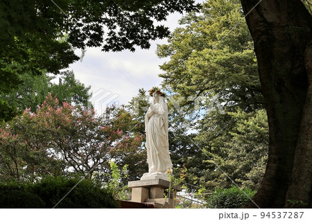 花 景色 屋外 94537287