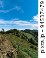 大菩薩峠の稜線 94537479