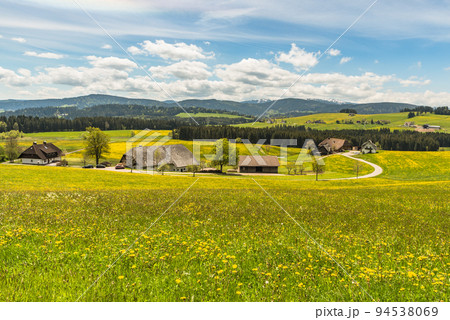 Flower meadows and farm houses in the Black Forest, Baden-Wuerttemberg, Germany Flower meadows and farm houses in the Black Forest, Baden-Wuerttemberg, Germany 94538069