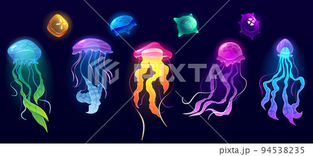 Jellyfish underwater animals, colorful jelly fish Jellyfish underwater animals, colorful jelly fish 94538235