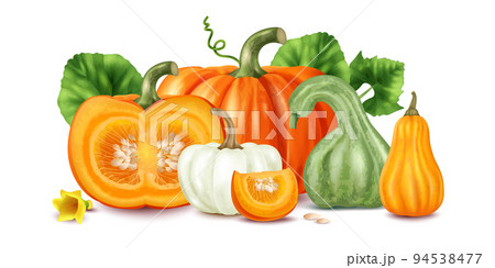 Realistic Pumpkin Concept 94538477