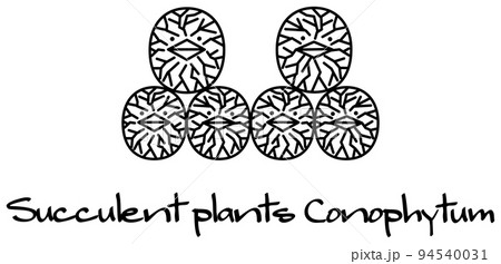 多肉植物 コノフィツム キャラクター イラスト ベクター 多肉植物 コノフィツム キャラクター イラスト ベクター 94540031