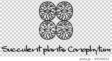 肉質植物 Conophytum 字符圖向量 肉質植物 Conophytum 字符圖向量 94540032