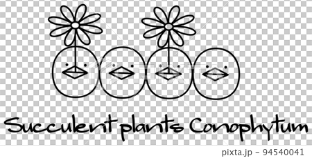 開花している多肉植物のコノフィツム キャラクター イラスト ベクター 94540041