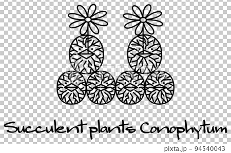 開花している多肉植物のコノフィツム キャラクター イラスト ベクター 開花している多肉植物のコノフィツム キャラクター イラスト ベクター 94540043