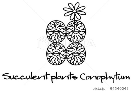 開花している多肉植物のコノフィツム キャラクター イラスト ベクター 開花している多肉植物のコノフィツム キャラクター イラスト ベクター 94540045