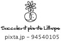 開花している多肉植物のリトープス キャラクター イラスト ベクター 94540105