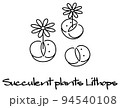 開花している多肉植物のリトープス キャラクター イラスト ベクター 94540108