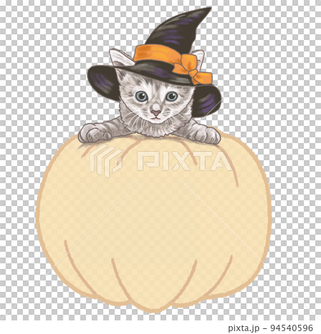 Witch costume kitty Halloween pumpkin frame 94540596
