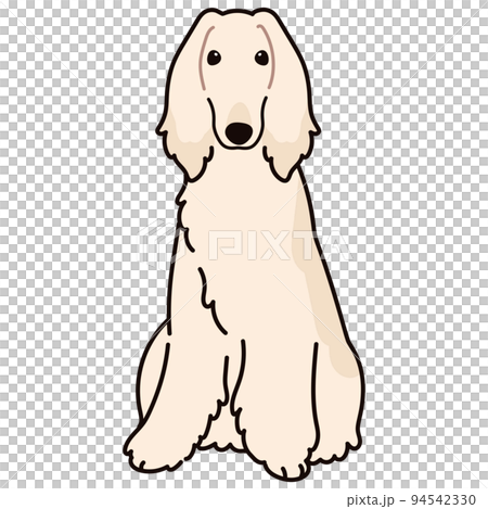 アフガンハウンド（リラックスポーズ❣️） アフガンハウンド