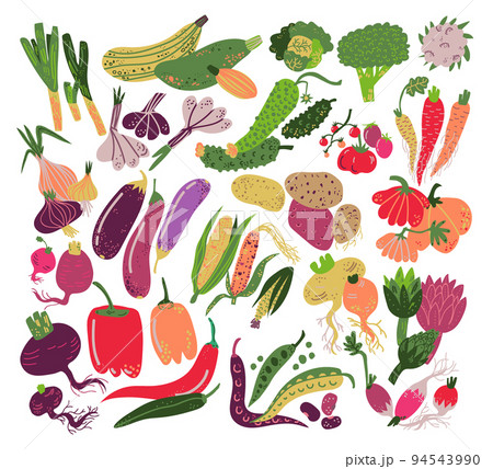 Raw Vegetables as Organic Garden Plant for Cooking Big Vector Set Raw Vegetables as Organic Garden Plant for Cooking Big Vector Set 94543990