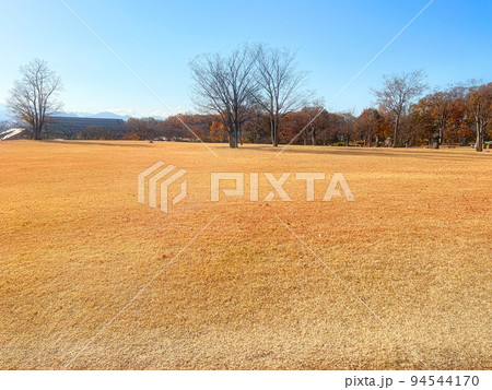 晩秋~初冬の公園 晩秋~初冬の公園 94544170