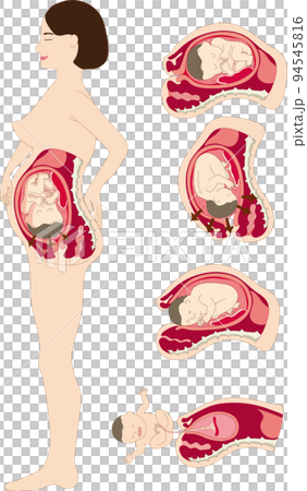 childbirth, pregnancy, woman in labor, baby, womb, woman, mother, mother and child childbirth, pregnancy, woman in labor, baby, womb, woman, mother, mother and child 94545816