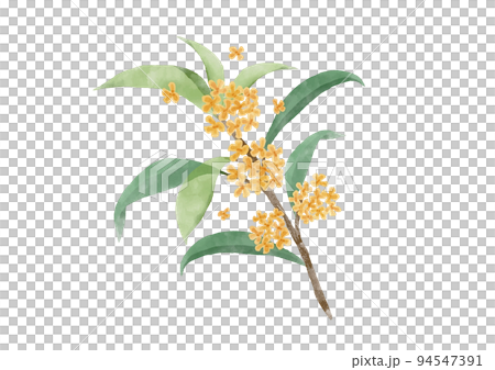Simple and pretty Kanagi flower watercolor style 94547391