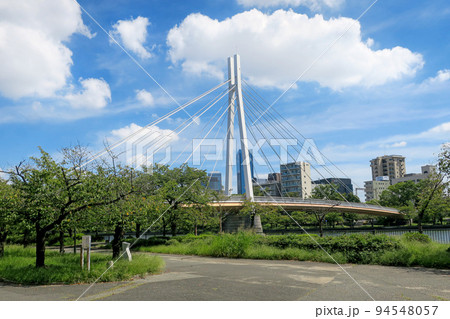 大阪・大川に架かる美しい斜張橋「川崎橋」 大阪・大川に架かる美しい斜張橋「川崎橋」 94548057