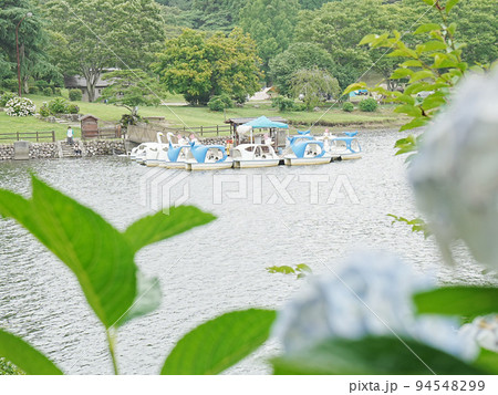 湖畔のほとりのキャンプ場にて湖に浮かぶスワンボート 湖畔のほとりのキャンプ場にて湖に浮かぶスワンボート 94548299