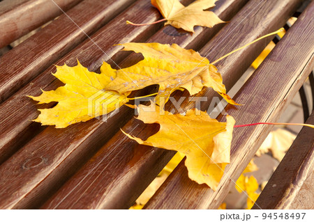 Wooden bench with dry leaves in the city park in autumn Wooden bench with dry leaves in the city park in autumn 94548497