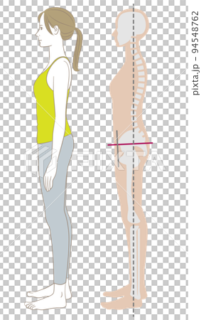 正しい姿勢で立つ横向きの女性と骨格 94548762