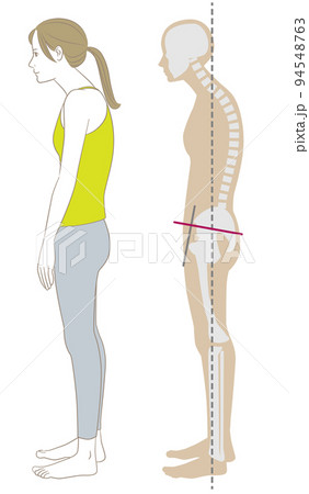 猫背の姿勢で立つ横向きの女性と骨格 94548763