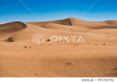 サハラ砂漠の砂丘と快晴の青空 サハラ砂漠の砂丘と快晴の青空 94548792