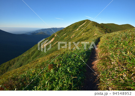 流石山東側から流石山、大倉山へ続く尾根を見る 流石山東側から流石山、大倉山へ続く尾根を見る 94548952