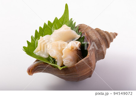 つぶ貝 刺身 つぶ貝 刺身 94549072