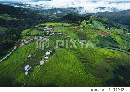 High angle view Green Rice field on terraced in Chiangmai High angle view Green Rice field on terraced in Chiangmai 94549424