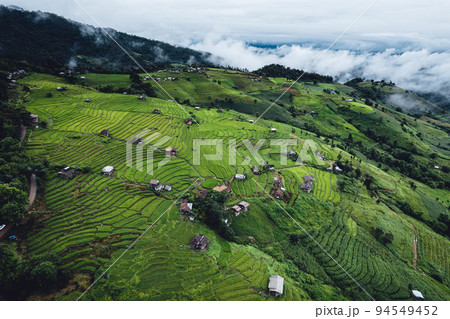 High angle view Green Rice field on terraced in Chiangmai 94549452