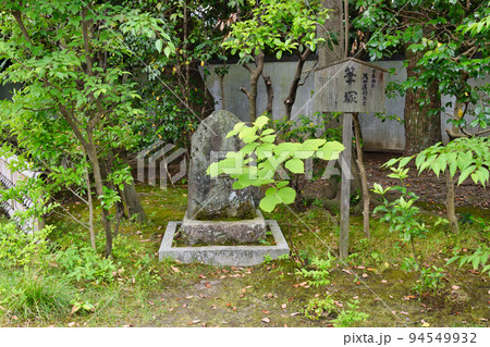 京都 廬山寺 日本画家 池田遙邨先生の筆塚  94549932